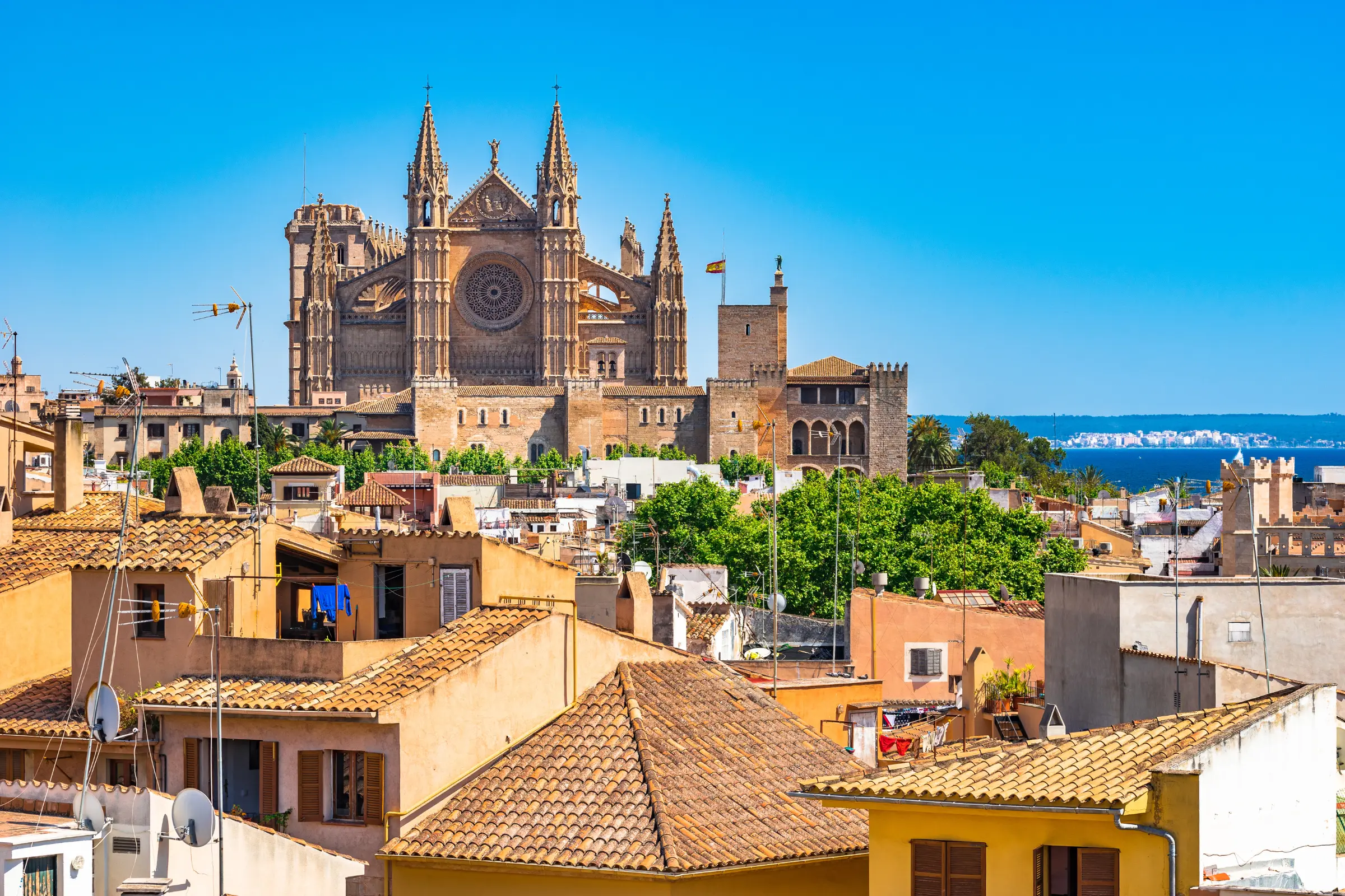 All-Inclusive African Discovery: Canaries to Cape Town Cruise & Stay